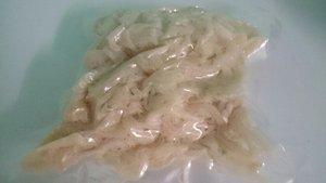 Cottonii para Carrageenan/ Eucheuma Cottonii/ Kappaphycus cottonii 2024 - Product Image 3