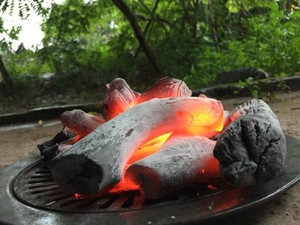 LYCHEE Bâtonnets de charbon de bois dur blanc BINCHOTAN Poudre de briquette d'eucalyptus pour barbecue directement de l'usine du Vietnam - Product Image 5