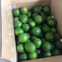 Citron vert/citron vert sans pépins Produit du Vietnam