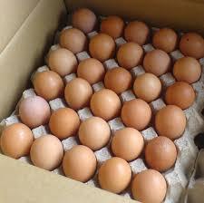 Huevos Frescos de Mesa Blancos de Aves de Corral con Certificación ISO HACCP de ZA - Product Image 4