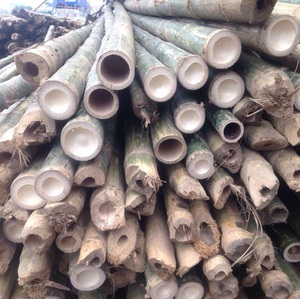 Poteaux de bambou du Viet Nam/produit de forêt - Product Image 2