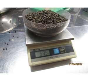 Pimienta Negra y Pimienta Blanca de Vietnam BUEN PRECIO PARA VENTAS Sra. Kathryn - Product Image 2