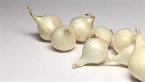 UN GROS CLÔRE - Ail vietnamien solitaire/ Frais et séché/ Ail de haute qualité - Product Image 5