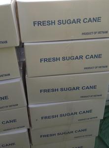 Cheapest Fresh and Frozen Sugar Cane - Product Image 2