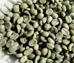 Granos de Café Instantáneo Robusta y Arábica de Primera Calidad, Tostados, Procesados en Verde y Liofilizados, a Granel, para Mezclas de Chocolate - Product Image 2