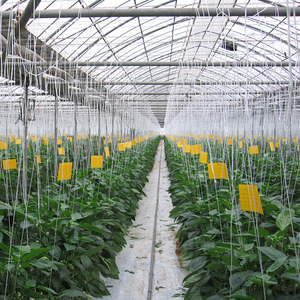 Cao Cấp Tốt Chuột Bẫy Chuột Keo Dính Bẫy - Product Image 6