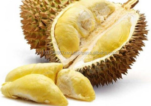 DURIAN FRUTAS FRESCAS-Venta al por mayor Durian fresco/deliciosa fruta Durian vietnamita - Product Image 5