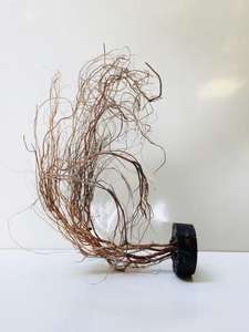 Accessoires Nano aquarium bois flotté - Product Image 5