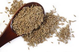 เมล็ดยี่หร่าคุณภาพพรีเมี่ยม | เมล็ดยี่หร่าแอฟริกาใต้ | เมล็ดยี่หร่ายี่หร่า - Product Image 2
