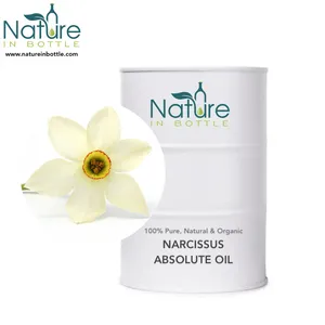 Olio Del Fiore organico Narciso Olio | Nargis | Narciso poeticus-Puro Naturale Assoluto Oli Essenziali-Commercio All'ingrosso Prezzo All'ingrosso