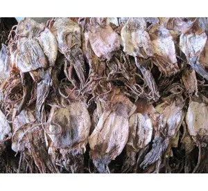 Сушеный черный кальмар из Вьетнама-низкая цена/WhatsApp // мисс Дженни