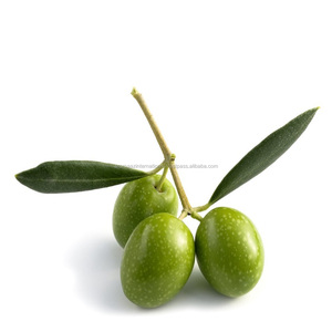 Aceite de oliva Natural con certificación orgánica 100%, proveedor indio para uso comercial, cantidad a granel - Product Image 3