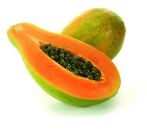 EXCELLENT QUALITY WITH BEST PRICE CANNED PAPAYA