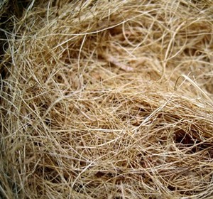 Fibre de noix de coco de haute qualité avec une nouvelle récolte - Product Image 3