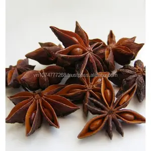 ANISE ESTRELAS COM ALTA QUALIDADE E PREÇO COMPETITIVO/Fornecimento a Granel a Preço de Atacado do Vietnã.