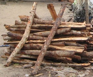 Carbón de manguezal premium de Vietnam |   EXPORTADOR CONFIABLE PARA PEDIDOS AL POR MAYOR - Product Image 2