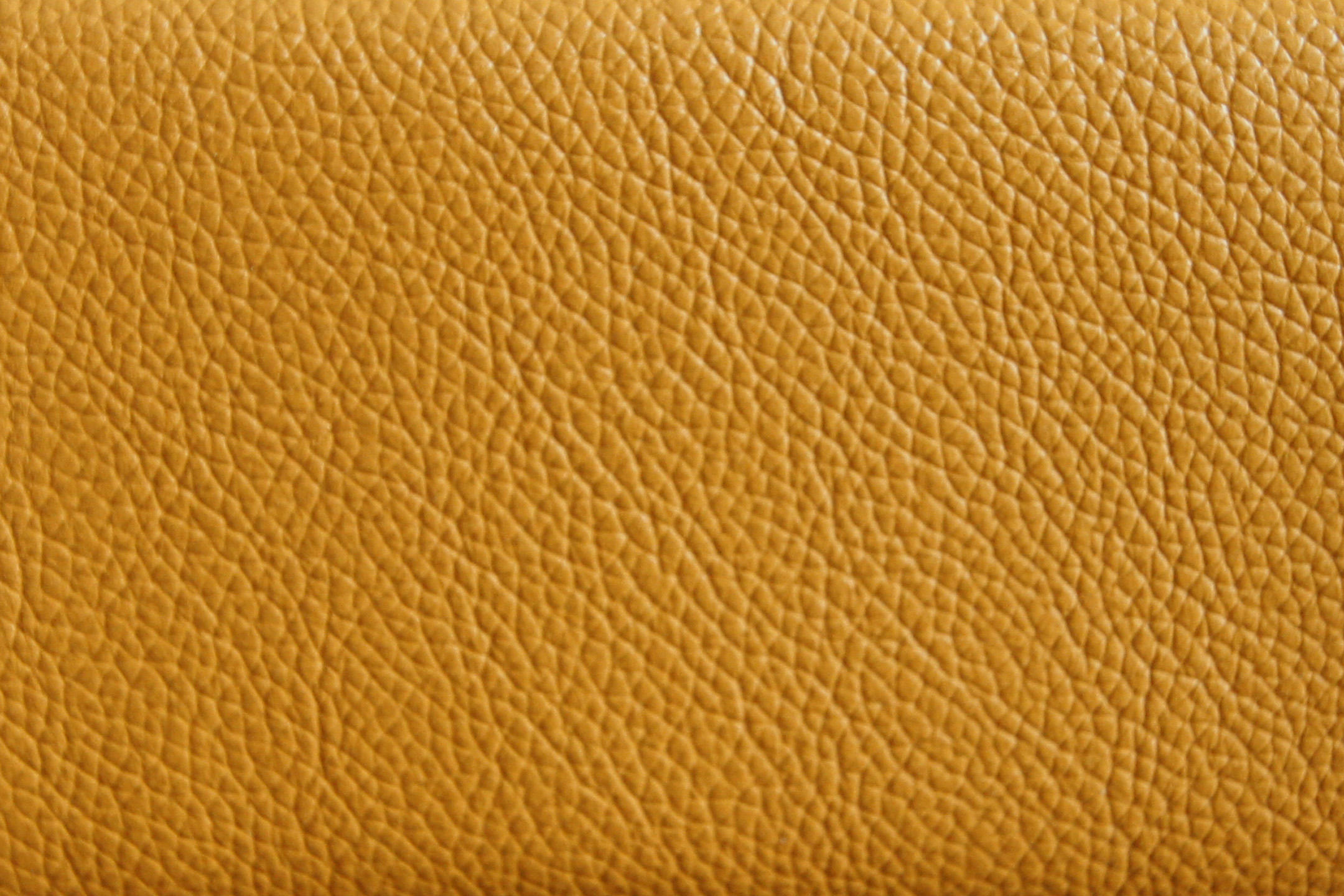 มัสตาร์ดสีเหลือง