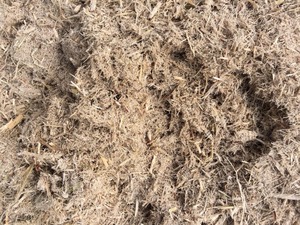 {HOT 2024} -Exportación de bagazo fermentado como materia prima para la alimentación animal Residuos agrícolas de Vietnam a un precio asequible - Product Image 2