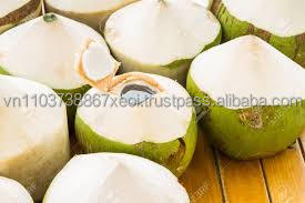 มะพร้าวสดคุณภาพสูงจากเวียดนาม - Product Image 5