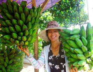 Plátano Verde / Producto Especial de Vietnam - Product Image 3