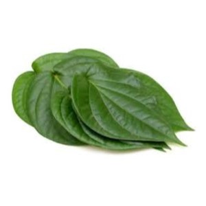 100% Pure Organic Betel Leaf Essential Oil High Quality Export Oriented Manufacturers Wholesale Price - Product Image 3