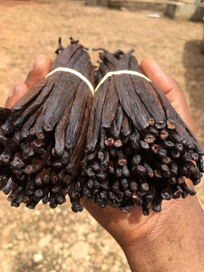 2021 AD Dried South Africa <b>Vanilla</b> <b>Beans</b> 25kg Food Grade 24 Months Shelf Life Containers Available - Product Image 2