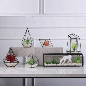 Wholesale 2019 Hot Sale clear <b>Geometric</b> Glass <b>Terrarium</b> - Product Image 1