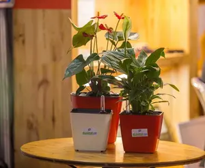 Maceta inteligente de plástico para plantas, maceta automática de riego, verde, duradera, venta al por mayor