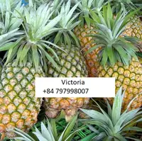 Tatlı Cayenne ananas/pürüzsüz Cayenne ananas/(bayan) Victoria + 84 28 35119589