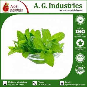 Huile essentielle de menthe poivrée à saveur premium fournie par l'usine Huile de menthe verte liquide naturelle en vrac pour les saveurs de tabac - Product Image 5