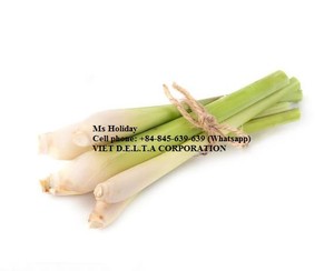 Dried Lemongrass with Best Price and High Quality - Product Image 4