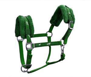 Hunter Green Equestrian Nylon Halter Fleece <b>Padded</b> Comfort Leather Accessory Western and English Style for Horse <b>Rugs</b> - Product Image 1