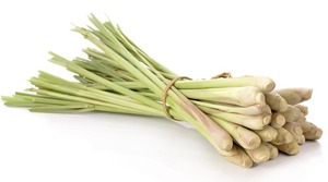 Hierba de limón congelada de Vietnam, el mejor precio - Product Image 4