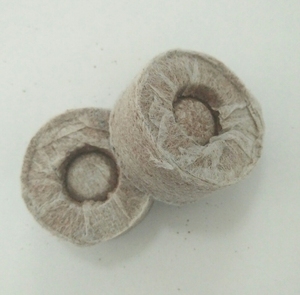 มะพร้าวมะพร้าว Cocopeat,ต้นมะพร้าว,เม็ดมะพร้าว - Product Image 2