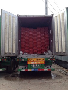 พริกสดราคาดี | พริกแช่แข็ง | พริกแห้งเพื่อการส่งออก - Product Image 6