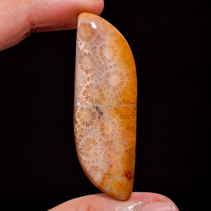 ปะการังฟอสซิลทรงหลังเบี้ยรูปร่างผสมในการรักษาทุกขนาดทำด้วยมือปาล์มปะการังฟอสซิลอัญมณีหลวมสวยงามเรียบ - Product Image 4