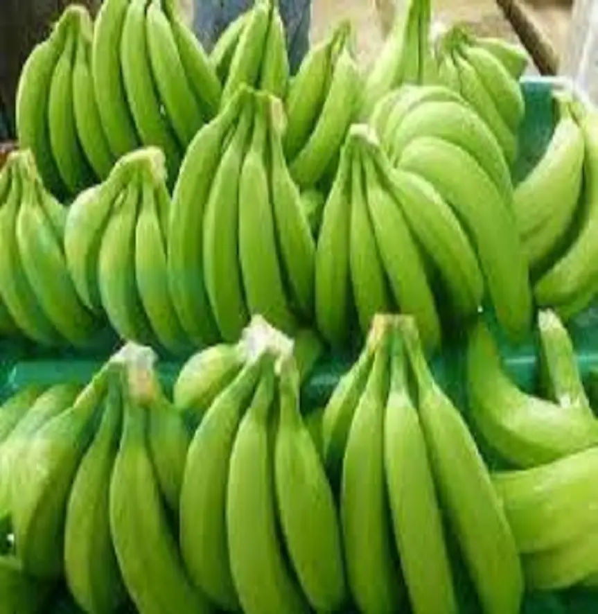 Fresh Ecuador Cavendish Bananas