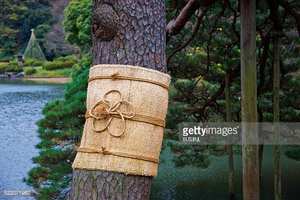 Alfombrilla de sedge de calidad de Vietnam para vacaciones en árboles - Product Image 6