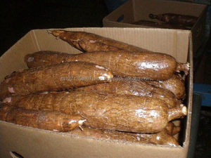 Raíz de Yuca Fresca (Tapioca Fresca) de Primera Calidad de Sudáfrica, 2 Años de Duración, a Granel y a Bajo Precio - Product Image 5