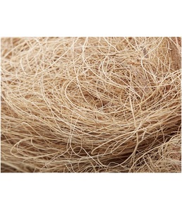 <b>CHEAP</b> PRICE COCONUT COIR in BULK VIETNAM - Ms. Esther - Product Image 1