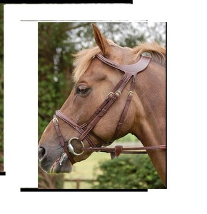 NOUVEAU BANDEAU PROFESSIONNEL CHEVAL BRIDLE Classique muserolle éphémère Bride de cheval Différence flash muserolle Bride de cheval - Product Image 1