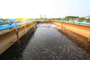 Producto biológico para reducir la acumulación de lodos en plantas de tratamiento de aguas residuales Maquinaria de tratamiento de residuos - Product Image 4