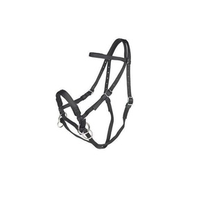 Shemax 2023 de alta calidad de encargo al por mayor de brida Venta caliente producto de caballo - Product Image 1