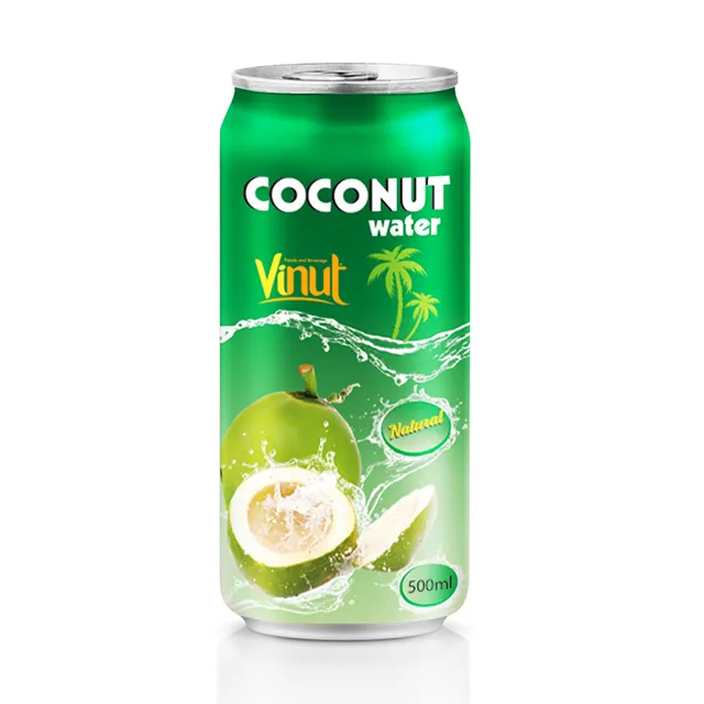 Naturel Frais 500ml Canettes frais jeune noix de coco verte eau boisson Gazeuse pour Quotidien