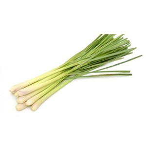 Aceite Esencial Puro de Limoncillo Destilado al Vapor de la India, Beneficios Blanqueadores y Reafirmantes, Mejor Precio en Europa - Product Image 2