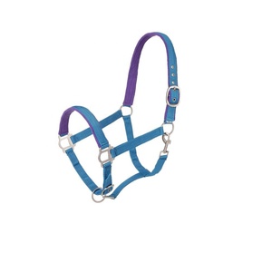 Halter rembourré en nylon équestre réglable noir écologique avec quincaillerie en satin - Product Image 1