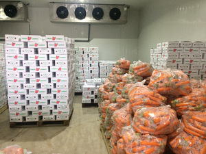 แครอทสดแห้งผลิตจากเวียดนาม - Product Image 5