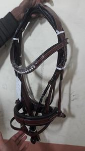 Nueva brida para caballos Antares Productos para caballos de primera calidad - Product Image 5