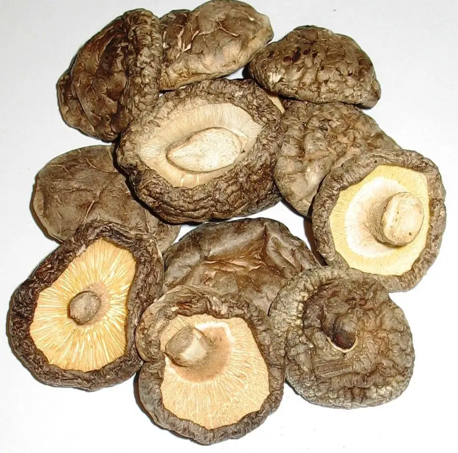 Dried Shiitake Mushroom - High Quality for Vegetarian Foods