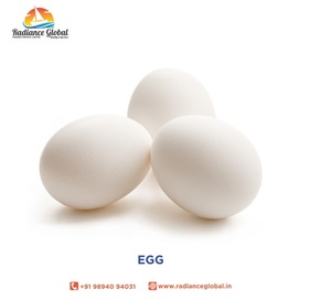 ไข่เปลือกขาวคุณภาพดีที่สุด - Product Image 3